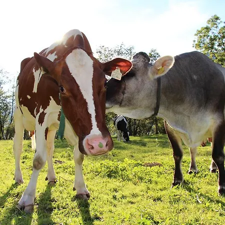 Ausserwieserhof Séjour à la ferme Neustift im Stubaital
