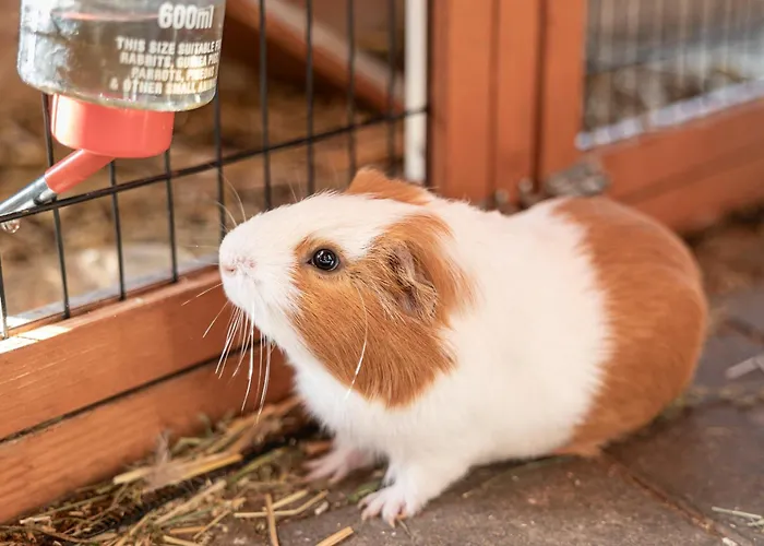 Ausserwieserhof * Neustift im Stubaital