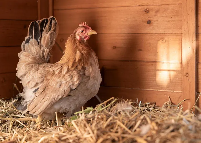 Ausserwieserhof Farm stay *