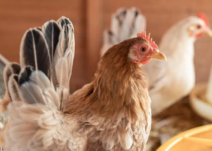 Ausserwieserhof Фермерский дом *